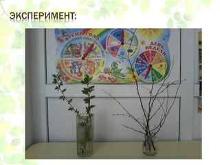 ЭКСПЕРИМЕНТ:
 