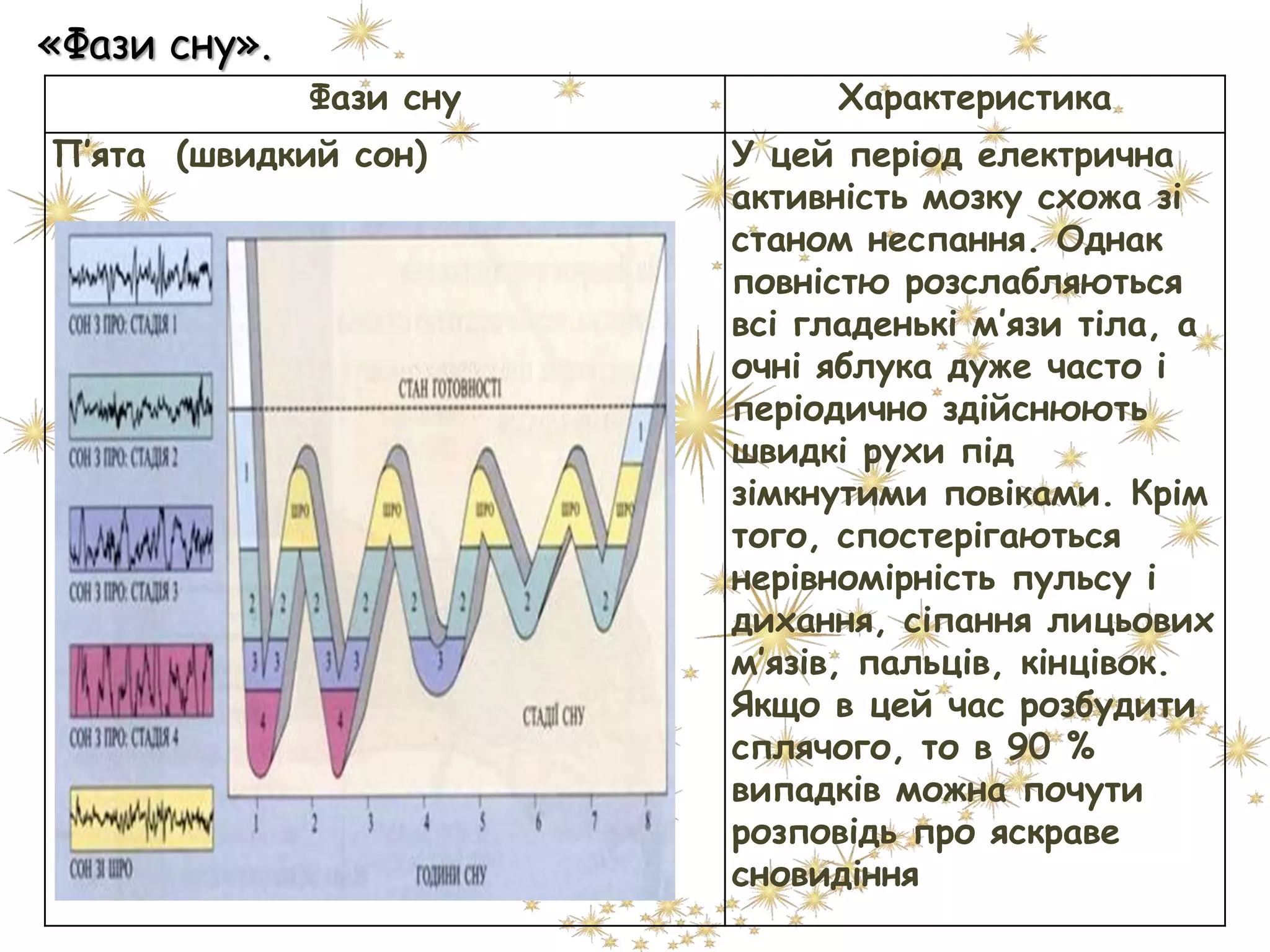«Фази сну».
Фази сну Характеристика
П’ята (швидкий сон) У цей період електрична
активність мозку схожа зі
станом неспання. Однак
повністю розслабляються
всі гладенькі м’язи тіла, а
очні яблука дуже часто і
періодично здійснюють
швидкі рухи під
зімкнутими повіками. Крім
того, спостерігаються
нерівномірність пульсу і
дихання, сіпання лицьових
м’язів, пальців, кінцівок.
Якщо в цей час розбудити
сплячого, то в 90 %
випадків можна почути
розповідь про яскраве
сновидіння
 