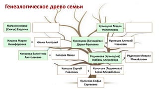 Генеалогическое древо семьи
Колосова Софья
Сергеевна
Колосова (Редникова)
Елена Михайловна
Колосов Сергей
Павлович
Колосова Валентина
Анатольевна
Колосов Павел
Ильина Мария
Никифоровна
Ильин Анатолий
Магазинникова
(Сижук) Евдокия
Редникова (Кузнецова)
Любовь Алексеевна
Редников Михаил
Михайлович
Кузнецова (Бочкарёва)
Дарья Фроловна
Кузнецов Алексей
Иванович
Кузнецова Мавра
Филипповна
+
+
+
+
+
 