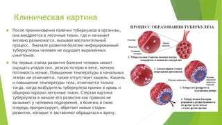 Клиническая картина
 После проникновения палочки туберкулеза в организм,
она внедряется в легочные ткани, где и начинает
активно размножатся, вызывая воспалительный
процесс. Вначале развития болезни инфицированный
туберкулезом человек не ощущает выраженных
симптомов.
 На первых этапах развития болезни человек может
ощущать упадок сил, резкую потерю в весе, ночную
потливость ночью. Повышение температуры в начальных
этапах не отмечается, также отсутствует кашель. Кашель
и повышение температуры тела, отмечается только
тогда, когда возбудитель туберкулеза проник в кровь и
обширно поразил легочные ткани. Стертая картина
туберкулеза в начале его развития как правило не
вызывает у человека подозрений, а болезнь в свою
очередь прогрессирует, обретает новые стадии
развития, которые и заставляют обращаться к врачу.
 
