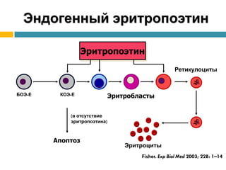 Эритропоэтин Купить В Челябинске Цена В Аптеке