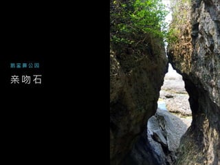 亲 吻 石
鹅 銮 鼻 公 园
 