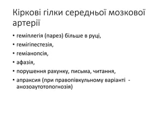 Кіркові гілки середньої мозкової
артерії
• геміплегія (парез) більше в руці,
• гемігіпестезія,
• геміанопсія,
• афазія,
• порушення рахунку, письма, читання,
• апраксия (при правопівкульному варіанті -
анозоаутотопогнозія)
 
