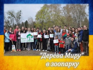 Луцька СЗОШ №5