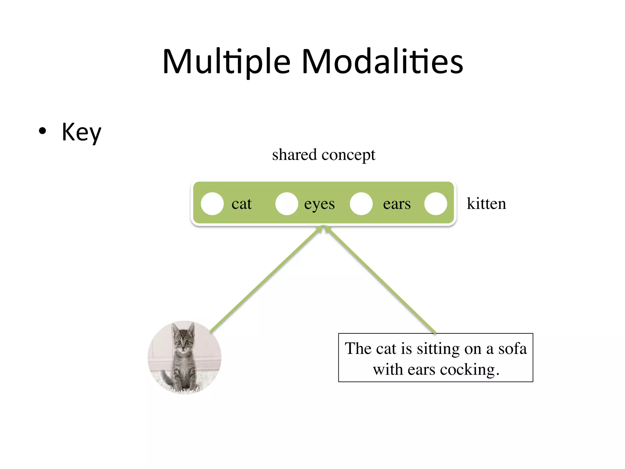 Mul7ple	Modali7es
•  Key
The cat is sitting on a sofa
with ears cocking.
shared concept
cat ears kitteneyes
 
