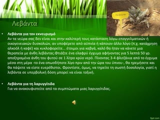 Λεβάντα
• Λεβάντα για τον εκνευρισμό
Aν τα νεύρα σας δεν είναι και στην καλύτερή τους κατάσταση λόγω επαγγελματικών ή
οικογενειακών δυσκολιών, αν υποφέρετε από αϋπνία ή κάποιον άλλο λόγο (π.χ. κατάχρηση
αλκοόλ ή καφέ) και κυκλοφορείτε... έτοιμοι για καβγά, καλό θα ήταν να κάνετε μια
θεραπεία με άνθη λεβάντας.Φτιάξτε ένα ελαφρύ έγχυμα αφήνοντας για 5 λεπτά 50 γρ.
αποξηραμένα άνθη του φυτού σε 1 λίτρο κρύο νερό. Πίνοντας 3-4 φλιτζάνια από το έγχυμα
μέσα στη μέρα -το ένα οπωσδήποτε λίγο πριν από την ώρα του ύπνου-, θα ηρεμήσετε και
θα πάψετε να είστε ευερέθιστοι. Φροντίστε, όμως, να τηρείτε τη σωστή δοσολογία, γιατί η
λεβάντα σε υπερβολική δόση μπορεί να είναι τοξική.
• Λεβάντα για τη λαρυγγίτιδα
Για να ανακουφιστείτε από τα συμπτώματα μιας λαρυγγίτιδας.
 