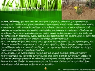 Δεντρολίβανο ή Αρίς Μαρί
Το δενδρολίβανο χρησιμοποιείται στη μαγειρική ως άρτυμα, καθώς και για την παραγωγή
αφεψημάτων. Το έλαιό του χρησιμοποιείται στη βιομηχανία τροφίμων και καλλυντικών, καθώς
και στην αρωματοθεραπεία. Το αφέψημα καταπολεμά τη διάρροια και την τριχόπτωση, ενώ
ενδείκνυται μεταξύ άλλων για ατονία, πονοκέφαλο, κρυολόγημα, υπερκόπωση, εξάντληση και
κατάθλιψη. Προτείνεται για κράμπες στο στομάχι και για το φούσκωμα, ανοίγει την όρεξη και
προκαλεί έκκριση στομαχικών υγρών. Έχει αντιμικροβιακή δράση και μάλιστα μέχρι τις αρχές του
20ού αιώνα χρησιμοποιείτο ως αντισηπτικό στα γαλλικά νοσοκομεία.
Επιπλέον, έχει βακτηριοκτόνο δράση, αφού βρέθηκε ότι αναστέλλει έξι μικροοργανισμούς που
αλλοιώνουν συνήθως το κρέας και αντιμυκητησιακή δράση, εφόσον φάνηκε από έρευνες ότι
αναστέλλει μερικώς την ανάπτυξη, καθώς και την παραγωγή τοξινών από διάφορους μύκητες.
Παράλληλα, διαθέτει αντιοξειδωτική δράση.
Επιπλέον μπορεί να ενεργοποιήσει το συμπαθητικό νευρικό σύστημα, βελτιώνοντας την
ποιότητα μνήμης, την ικανότητα συγκέντρωσης αλλά και τη διάθεση των ατόμων. Μπορεί να
μειώσει τη γλυκόζη αίματος και τα επίπεδα χοληστερόλης και να βοηθήσει στον έλεγχο του
βάρους. Έρευνες έδειξαν ότι εντάσσοντας σε μια διατροφή πλούσια σε λίπος δενδρολίβανο,
μπορεί να μειωθεί το σωματικό βάρος πάνω από 60%.
ΠΗΓΗ : http://www.fimes.gr/2013/06/dentrolivano-ygeia/
 