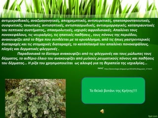 αντιμικροβιακές, αναζωογονητικές, αποχρεμπτικές, αντιπυρετικές, ηπατοπροστατευτικές,
συσφικτικές, τονωτικές, αντισηπτικές, αντισπασμωδικές, αντιαιμορραγικές, καταπραυντικές
του πεπτικού συστήματος,, σπασμολυτικές, ισχυρές αφροδισιακές. Απαλύνει τους
πονοκεφάλους, τις νευραλγίες, τις ηπατικές παθήσεις , τους πόνους της περιόδου,
ανακουφίζει από το βήχα που συνδέεται με το κρυολόγημα, από τις ήπιες γαστρεντερικές
διαταραχές και τις στομαχικές διαταραχές, το κατάπλασμά του απαλύνει πονοκεφάλους,
πληγές και δερματικές φλεγμονές .
Παραδοσιακά το δίκταμο ανακουφίζει από τις φλεγμονές και τους μώλωπες τους
δέρματος, το αιθέριο έλαιο του ανακουφίζει από μυϊκούς ρευματικούς πόνους και παθήσεις
του δέρματος... Η ρίζα του χρησιμοποιείται ως αλοιφή για τη θεραπεία της ισχιαλγίας...
ΠΗΓΗ:
Το θεϊκό βοτάνι της Κρήτης!!!
http://botanologia.blogspot.gr/2014/01/blog-post_17.html
 