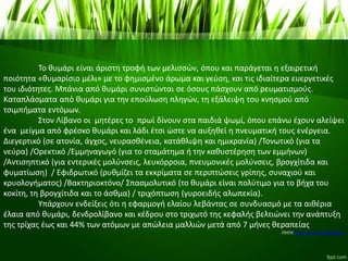 Το θυμάρι είναι άριστη τροφή των μελισσών, όπου και παράγεται η εξαιρετική
ποιότητα «θυμαρίσιο μέλι» με το φημισμένο άρωμα και γεύση, και τις ιδιαίτερα ευεργετικές
του ιδιότητες. Μπάνια από θυμάρι συνιστώνται σε όσους πάσχουν από ρευματισμούς.
Καταπλάσματα από θυμάρι για την επούλωση πληγών, τη εξάλειψη του κνησμού από
τσιμπήματα εντόμων.
Στον Λίβανο οι μητέρες το πρωί δίνουν στα παιδιά ψωμί, όπου επάνω έχουν αλείψει
ένα μείγμα από φρέσκο θυμάρι και λάδι έτσι ώστε να αυξηθεί η πνευματική τους ενέργεια.
Διεγερτικό (σε ατονία, άγχος, νευρασθένεια, κατάθλιψη και ημικρανία) /Τονωτικό (για τα
νεύρα) /Ορεκτικό /Εμμηναγωγό (για το σταμάτημα ή την καθυστέρηση των εμμήνων)
/Αντισηπτικό (για εντερικές μολύνσεις, λευκόρροια, πνευμονικές μολύνσεις, βρογχίτιδα και
φυματίωση) / Εφιδρωτικό (ρυθμίζει τα εκκρίματα σε περιπτώσεις γρίπης, συναχιού και
κρυολογήματος) /Βακτηριοκτόνο/ Σπασμολυτικό (το θυμάρι είναι πολύτιμο για το βήχα του
κοκίτη, τη βρογχίτιδα και το άσθμα) / τριχόπτωση (γυροειδής αλωπεκία).
Υπάρχουν ενδείξεις ότι η εφαρμογή ελαίου λεβάντας σε συνδυασμό με τα αιθέρια
έλαια από θυμάρι, δενδρολίβανο και κέδρου στο τριχωτό της κεφαλής βελτιώνει την ανάπτυξη
της τρίχας έως και 44% των ατόμων με απώλεια μαλλιών μετά από 7 μήνες θεραπείας.
ΠΗΓΗ:http://www.mydiatrofi.gr
 