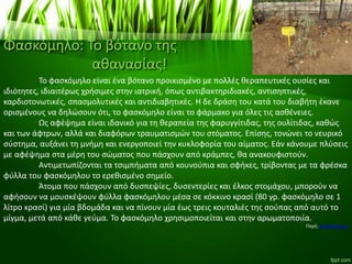 Φασκόμηλο: Το βότανο της
αθανασίας!
Το φασκόμηλο είναι ένα βότανο προικισμένο με πολλές θεραπευτικές ουσίες και
ιδιότητες, ιδιαιτέρως χρήσιμες στην ιατρική, όπως αντιβακτηριδιακές, αντισηπτικές,
καρδιοτονωτικές, σπασμολυτικές και αντιδιαβητικές. Η δε δράση του κατά του διαβήτη έκανε
ορισμένους να δηλώσουν ότι, το φασκόμηλο είναι το φάρμακο για όλες τις ασθένειες.
Ως αφέψημα είναι ιδανικό για τη θεραπεία της φαρυγγίτιδας, της ουλίτιδας, καθώς
και των άφτρων, αλλά και διαφόρων τραυματισμών του στόματος. Επίσης, τονώνει το νευρικό
σύστημα, αυξάνει τη μνήμη και ενεργοποιεί την κυκλοφορία του αίματος. Εάν κάνουμε πλύσεις
με αφέψημα στα μέρη του σώματος που πάσχουν από κράμπες, θα ανακουφιστούν.
Αντιμετωπίζονται τα τσιμπήματα από κουνούπια και σφήκες, τρίβοντας με τα φρέσκα
φύλλα του φασκόμηλου το ερεθισμένο σημείο.
Άτομα που πάσχουν από δυσπεψίες, δυσεντερίες και έλκος στομάχου, μπορούν να
αφήσουν να μουσκέψουν φύλλα φασκόμηλου μέσα σε κόκκινο κρασί (80 γρ. φασκόμηλο σε 1
λίτρο κρασί) για μία βδομάδα και να πίνουν μία έως τρεις κουταλιές της σούπας από αυτό το
μίγμα, μετά από κάθε γεύμα. Το φασκόμηλο χρησιμοποιείται και στην αρωματοποιία.
Πηγή: healthpress.gr
 