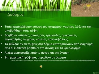 Δυόσμος
• Τσάι: καταπολέμηση πόνων του στομάχου, ναυτίας, λόξυγκα και
υποβοήθηση στην πέψη.
• Βοηθά σε αϋπνίες, σπασμούς, τρεμούλες, ημικρανίες,
ταχυπαλμίες, ίλιγγους, ναυτίες, πονοκεφάλους.
• Τα Φύλλα: αν τα τρίψεις στο δέρμα καταπραΰνουν από φαγούρα,
ενώ οι εισπνοές βοηθούν στο συνάχι και το κρυολόγημα
• Λικέρ: ανακουφίζει από το άγχος και την ένταση
• Στη μαγειρική: ρόφημα, μυρωδικό σε φαγητά
ΠΗΓΗ : http://lsg.ucy.ac.cy/Flora/Flora_Official/Lessons/Xriseis%20ton%20fiton/egxeiridio/fita%20pou%20exoun%20farmekeutikes%20idiotites.html
 