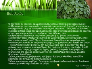 Βασιλικός
– Ο βασιλικός αν και είναι αρωματικό φυτό, χρησιμοποιείται σαν καρύκευμα σε
πολλά φαγητά, στην ποτοποιία (για παράδειγμα, στο ποτό Σαρτρέζ) και στην στην
κονσερβοποιία (π.χ. σε κονσέρβες τομάτας και σαλτσών). Τέλος, από το βασιλικό
εξάγεται αιθέριο έλαιο που χρησιμοποιείται τόσο στην φαρμακοποιία όσο και στην
αρωματοποιία (το καλύτερο παράγεται στην Ιάβα και στην
Ερυθραία).Υπενθυμίζουμε πως για τη μαγειρική, τα φύλλα μπορούν να
διατηρηθούν ξερά, κλεισμένα ερμητικά σε γυάλινα βάζα, ή σε καταψύκτη, όπου
διατηρούν για πολύ καιρό όλο το άρωμά τους.Σαν ρόφημα καταπραΰνει τους
σπασμούς της κοιλιάς, τη νεύρωση στομάχου, τις ημικρανίες και βοηθά στη μνήμη.
Τα φύλλα του φυτού βοηθούν στη δυσκοιλιότητα όταν φαγωθούν τρυφερά.
Διώχνει τους νευρικούς πονοκεφάλους. Για το φαγητό, ανοίγει την όρεξη. Βοηθά
στην αδύνατη μνήμη, μελαγχολία, άγχος, ζαλάδες, εντερικές διαταραχές και
τυμπανισμό της κοιλιάς. Είναι χωνευτικό και καταπολεμά Πονόκοιλο, Ζαλάδα,
Ναυτία και Κρυολόγημα
Τρόπος παρασκευής ροφήματος: αφέψημα: βράζουμε κλαδάκια και φύλλα
βασιλικού και πίνουμε το αφέψημα χλιαρό.
Τρόπος παρασκευής σαλάτας: Παίρνουμε τρυφερά κλαδάκια φρέσκου βασιλικού
τα κάνουμε σαλάτα με λάδι και τα τρώμε.
Πηγή: www.fytokomia.gr
 