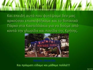 Και επειδή αυτά που φυτέψαμε δεν μας
αρκούσαν επισκεφτήκαμε και το Βοτανικό
Πάρκο στα Καστελλάκια για να δούμε από
κοντά την χλωρίδα και πανίδα της Κρήτης.
Βιότοποι – Nature Park
Και πράγματι είδαμε και μάθαμε πολλά!!!
 