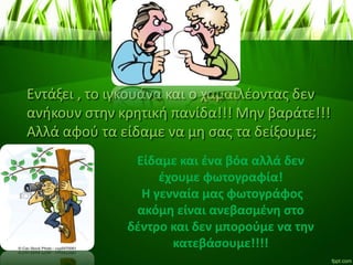 Εντάξει , το ιγκουάνα και ο χαμαιλέοντας δεν
ανήκουν στην κρητική πανίδα!!! Μην βαράτε!!!
Αλλά αφού τα είδαμε να μη σας τα δείξουμε;
Είδαμε και ένα βόα αλλά δεν
έχουμε φωτογραφία!
Η γενναία μας φωτογράφος
ακόμη είναι ανεβασμένη στο
δέντρο και δεν μπορούμε να την
κατεβάσουμε!!!!
 