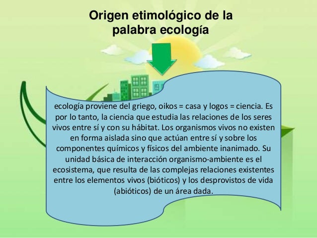 mapa conceptual