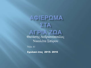 Θανάσης Ανδριανόπουλος
Νικολέτα Σπύρου
Τάξη Δ1
Σχολικό έτος 2015- 2016
 