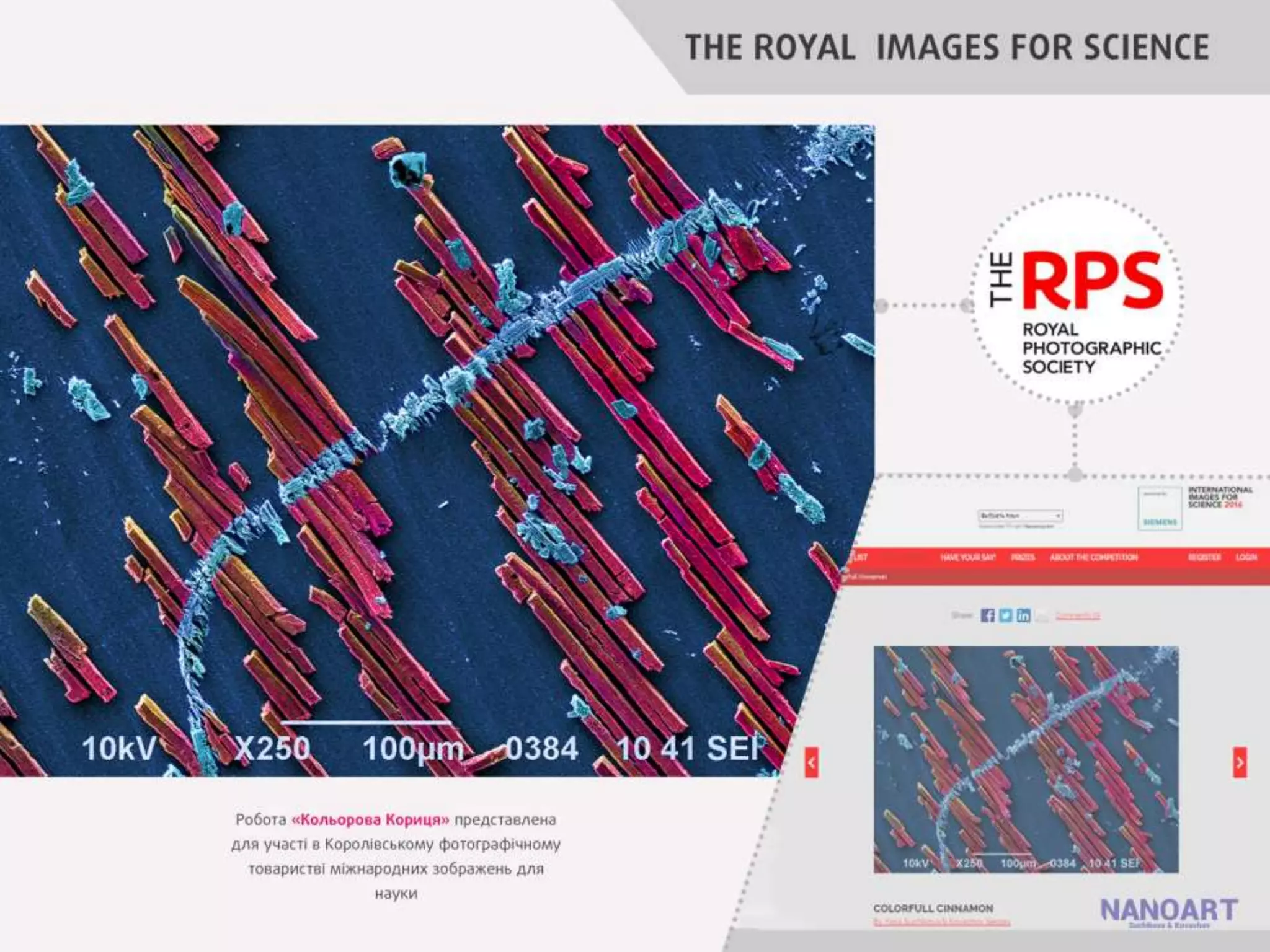 участь бдпу у конкурс  наукових фотограф й наноарт - наука як мистецтво
