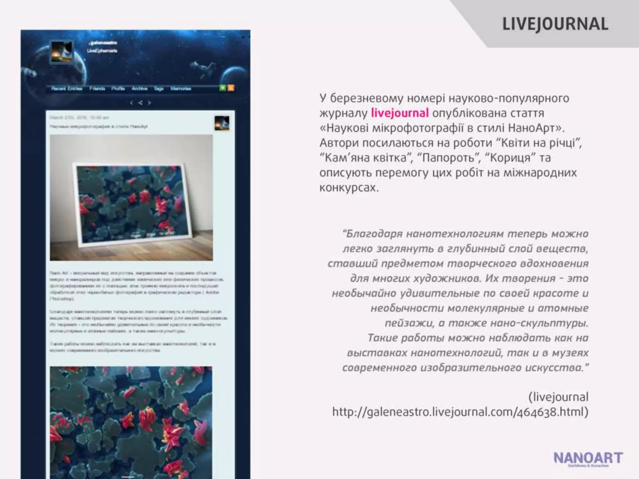 участь бдпу у конкурс  наукових фотограф й наноарт - наука як мистецтво