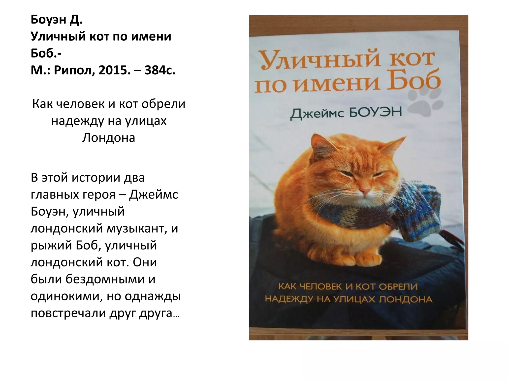Боуэн Д.
Уличный кот по имени
Боб.-
М.: Рипол, 2015. – 384с.
Как человек и кот обрели
надежду на улицах
Лондона
В этой истории два
главных героя – Джеймс
Боуэн, уличный
лондонский музыкант, и
рыжий Боб, уличный
лондонский кот. Они
были бездомными и
одинокими, но однажды
повстречали друг друга…
 