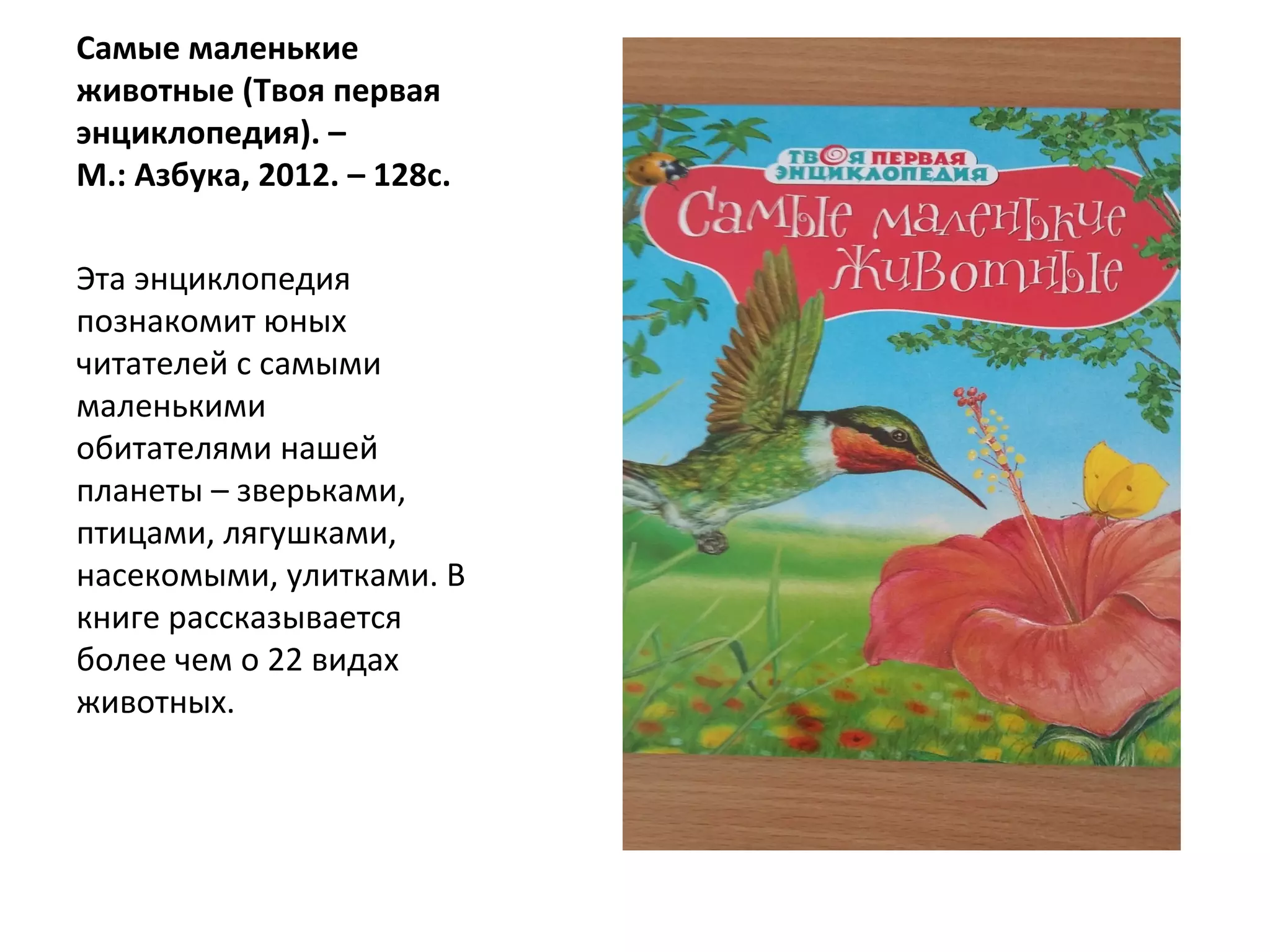 Самые маленькие
животные (Твоя первая
энциклопедия). –
М.: Азбука, 2012. – 128с.
Эта энциклопедия
познакомит юных
читателей с самыми
маленькими
обитателями нашей
планеты – зверьками,
птицами, лягушками,
насекомыми, улитками. В
книге рассказывается
более чем о 22 видах
животных.
 