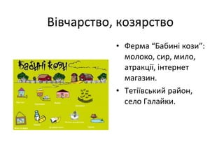 Вівчарство, козярство
• Ферма “Бабині кози”:
молоко, сир, мило,
атракції, інтернет
магазин.
• Тетіївський район,
село Галайки.
 