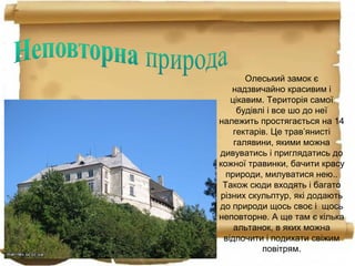 Олеський замок є
надзвичайно красивим і
цікавим. Територія самої
будівлі і все шо до неї
належить простягається на 14
гектарів. Це трав’янисті
галявини, якими можна
дивуватись і приглядатись до
кожної травинки, бачити красу
природи, милуватися нею..
Також сюди входять і багато
різних скульптур, які додають
до природи щось своє і щось
неповторне. А ще там є кілька
альтанок, в яких можна
відпочити і подихати свіжим
повітрям.
 
