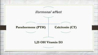 1,25 OH Vitamin D3
Parathormone (PTH) Calcitonin (CT)
 
