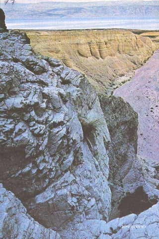 ধ্বংস করা হয়েছে যে দেশগুলির, এবং মানুষ. Bengali  বাঙালি