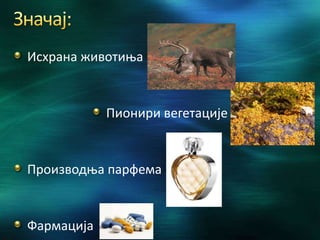 Исхрана животиња
Пионири вегетације
Производња парфема
Фармација
 