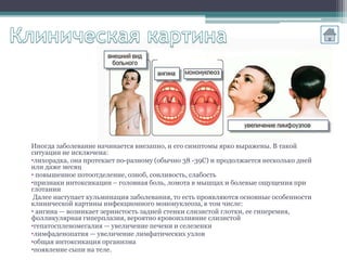 Мононуклеоз | PPT