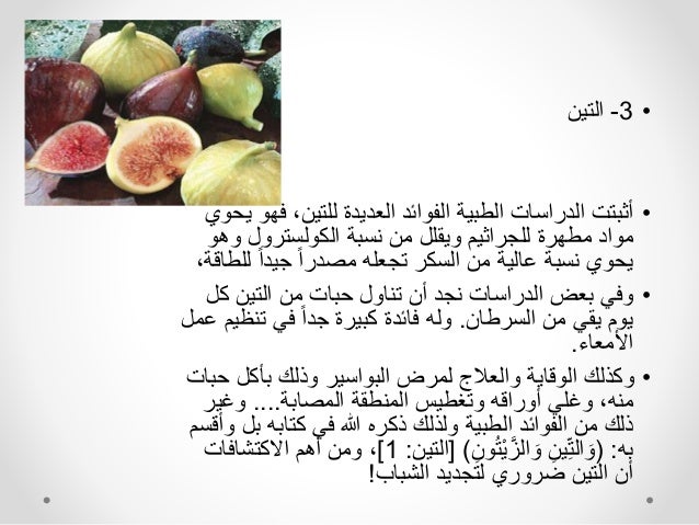 التغذية في القرآن الكريم -15-638