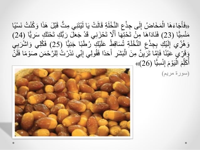 التغذية في القرآن الكريم -3-638