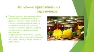 Про одуванчик PPT