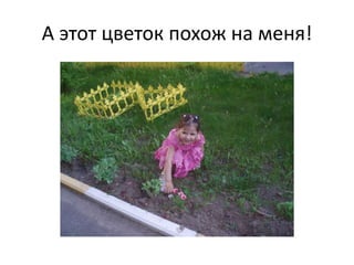 А этот цветок похож на меня!
 
