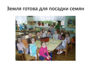 Земля готова для посадки семян
 