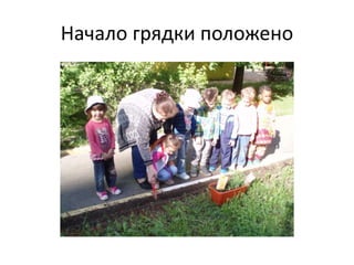 Начало грядки положено
 