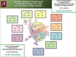 ВСЕГО В ГОРОДЕ МОСКЕ
ПЛАНИРУЕТСЯ ВЫСАДИТЬ
21 889 ДЕРЕВЬЕВ
223 819 КУСТАРНИКОВ
ВСЕГО В ГОРОДЕ МОСКВЕ
В РАМКАХ АКЦИИ
«МИЛЛИОН ДЕРЕВЬЕВ» В ВЕСЕННИЙ
ПЕРИОД 2016 ГОДА ВЫСАЖЕНО
5 342 ДЕРЕВА
216 540 КУСТАРНИКОВ
ВЫСАДКА ДЕРЕВЬЕВ И КУСТАРНИКОВ
В ВЕСЕННИЙ ПЕРИОД 2016 ГОДА
НА ТЕРРИТОРИИ ГОРОДА МОСКВЫ
ВСЕГО В ГОРОДЕ МОСКВЕ
С НАЧАЛА АКЦИИ
«МИЛЛИОН ДЕРЕВЬЕВ» ВЫСАЖЕНО
59 268 ДЕРЕВЬЕВ
1 311 906 КУСТАРНИКОВ