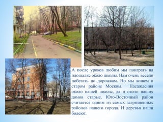 А после уроков любим мы поиграть на
площадке около школы. Нам очень весело
побегать по дорожкам. Но мы живем в
старом районе Москвы. Насаждения
около нашей школы, да и около наших
домов старые. Юго-Восточный район
считается одним из самых загрязненных
районов нашего города. И деревья наши
болеют.
 