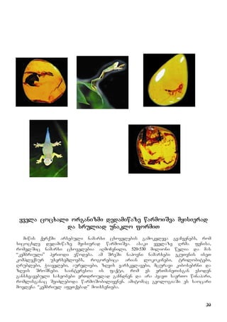 39
yvela cocxali organizmi dedamiwaze warmoiSva myisierad
da sruliad unaklo formiT
miwis qerqSi arsebuli namarxi cxovelebis gamokvleva gvaCvenebs, rom
sicocxle dedamiwaze myisierad warmoiSva. asaki yvelaze Rrma fenisa,
romelSic namarxi cxovelebia aRmoCenili, 520-530 milioni welia da mas
“kembriuli” periodi ewodeba. am SreSi napovni namarxebi ekuTvnis iseT
kompleqsur uxerxemloebs, rogorebica arian lokokinebi, trilobitebi,
Rrublebi, Wiayelebi, aureliebi, zRvis varskvlavebi, mcuravi kibosebrni da
zRvis SroSnebi. sainteresoa is faqti, rom es erTmaneTisgan esoden
gansxvavebuli saxeobebi erTdroulad gaCndnen da ara hyavT saerTo winapari,
romlisganac SeiZleboda warmoSobiliyvnen. amitomac geologiaSi es saocari
movlena “kembriul afeTqebad” moixsenieba.
 