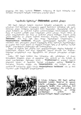 62
yovelive amis mere “adamiani Pitdown“, romliTac 40 wlis manZilze Tavs
iwonebda britaneTis muzeumi, saswrafod gaitanes iqidan.
“adamiani nebraska“ (Nebraska): Roris kbili
1922 wels amerikis bunebis istoriis muzeumis direqtorma f. osbornma
ganacxada, rom nebraskis dasavleTiT gvelis wyarosTan aRmoCenil iqna ukana
ZiriTadi kbili, romelic pliocenis xanas miekuTvneba. amtkicebdnen, rom am
kbils maimunisa da adamianis saerTo damaxasiaTebeli maxasiaTeblebi hqonda.
male am sakiTxis garSemo didi samecniero kamaTi gaCaRda. zogis azriT, es
kbili piTekantropisa iyo, zogi ki adamianis kbilad miiCnevda. bolos, cxare
kamaTi miwynarda da kbilis patroni moinaTla, rogorc “adamiani nebraska
(Nebraska)“. amas, raRa Tqma unda, mohyva “mecnieruli” saxelwodebac –
Hesperopithecus haroldcooki. mravalma avtoritetulma mecnierma gaiziara
osbornis azri. erTaderTi kbilis safuZvelze moxda nebraskis rekonstruqcia
da gakeTda misi Tavis qalisa da sxeulis naxatebi. mere ki es nebraska ojaxur
wreSi – col-SviliT garemoculi iqna warmodgenili.
mTeli es scenari erT kbilze aigo. evolucionistebi imdenad mieCvivnen am
warmosaxviT arsebas, rom roca mkvlevarma uiliam braianma maT mouwoda,
naCqarevi daskvnebisgan Tavi SeekavebinaT, mas kritikis qar-cecxli daatyda
Tavs.
Tumca, 1927 wels ConCxis sxva nawilebic iqna aRmoCenili. am axali
monacemebis mixedviT, kbili ar ekuTvnoda arc adamians da arc maimuns. es
kbili gadaSenebuli amerikuli taxis – “Prodthennops”-is yofila! uiliam
gregoris statia am Secdomis Sesaxeb gamoqveynda Jurnal “Science“-Si
saTauriT: “rogorc irkveva, arc Hesperopithecus arc maimunia da arc
adamiani”.60 sabolood, yvela naxati Hesperopithecus haroldcooki –isa da misi
“ojaxisa” gaqra samecniero literaturidan.
es naxati, romelic 1922 wels Jurnal
“Illustrated London News”-is 24 ivnisis
nomerSi gamoqveynda, erTaderTi kbilis
safuZvelze Seiqmna. roca gamoirkva, rom
es kbili ar ekuTvnoda arc adamians da
maimunismagvar arsebasac ki, aramed
gadaSenebuli Rorisa iyo,
evolucionistebs imedebi gaucruvdaT.
 