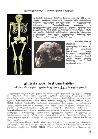68
avstralopiTeki – SimpanzesTan msgavseba
adamianis pirveli namarxi ConCxi iyo AL 288-1, anu
“lusi”, romelic eTiopiaSi, xadarSi iqna aRmoCenili.
rogorc mecnierebi varaudobdnen, is miekuTvneboda
saxeobas - Australopithecus afarensis –s.
evolucionistebma didi dro da energia Sealies imis
damtkicebas, rom lusi gamarTulad mosiarule arseba
iyo. Tumca namarxis Tanamedrove analizma sabolood
daadastura, rom lusi Cveulebrivi Simpanze iyo,
romelsac gamarTulad arasdros uvlia.
Australopithecus
afarensis -is
aRmoCenili namarxi AL
333-105 ekuTvnoda
SimpanzeTa igive
saxeobis axalgazrda
mdedr individs. amitom
korZi Tavis qalaze
bolomde ar aris
formirebuli.
unariani adamiani (Homo habilis):
maimuni, romlis adamianad gadaqcevas cdiloben
avstralopiTekis Tavis qalis Simpanzes Tavis qalasTan msgavsebam, agreTve
am arsebebis “or fexze dgomis” versiis gabaTilebam evolucionisti
paleontologebi rTul mdgomareobaSi Caagdo. warmosaxviT evolucionur
sqemaSi Australopithecus–s xom Homo erectus mohyveboda. Homo erectus, sadac
Homo niSnavs “adamians”, adamianTa kategorias miekuTvneba da gamarTuli
(vertikaluri) ConCxiT gamoirCeva. misi Tavis qalis moculoba orjer metia,
vidre avstralopiTekisa.. gardaqmna maimunis erT-erTi saxeobis -
Australopithecus-isa Homo erectus-sad, romlis ConCxis agebuleba arafriT
gansxvavdeba Tanamedrove adamianisgan, evoluciis Teoriis mixedviTac ki
SeuZlebelia. aqedan gamomdinare, aucilebeli gaxda “urTierTkavSiri”, anu
“gardamavali forma”. swored am aucileblobam gamoiwvia “Homo habilis”-is
cnebis gaCena.
klasifikacia Homo habilis 1960 wels likis – “arqeologiur namarxebze
monadireTa” ojaxma wamoayena. likis ojaxis azriT, warmomadgenels am axali
saxeobisa, romelsac Homo habilis ewoda, gamarTuli siaruli SeeZlo. igi
 