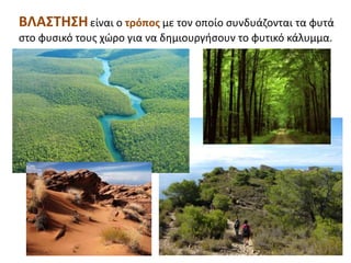 ΒΛΑΣΤΗΣΗείναι ο τρόπος με τον οποίο συνδυάζονται τα φυτά
στο φυσικό τους χώρο για να δημιουργήσουν το φυτικό κάλυμμα.
 