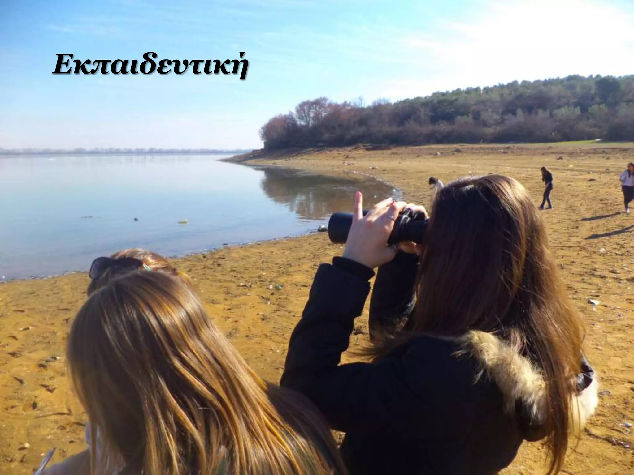 Εκπαιδευτική
 