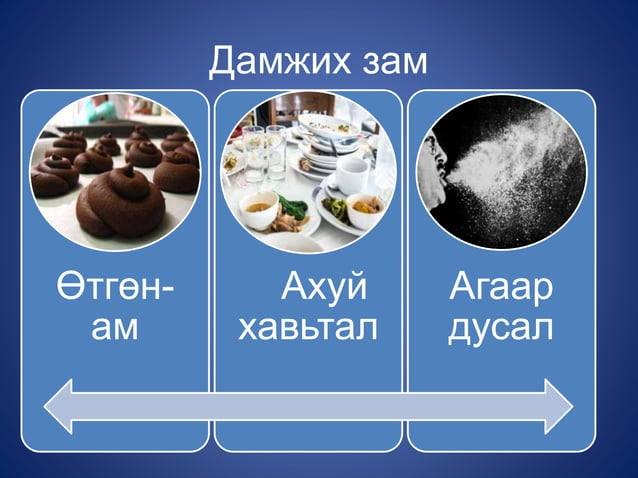 гар, хөл, амны өвчин | PPT
