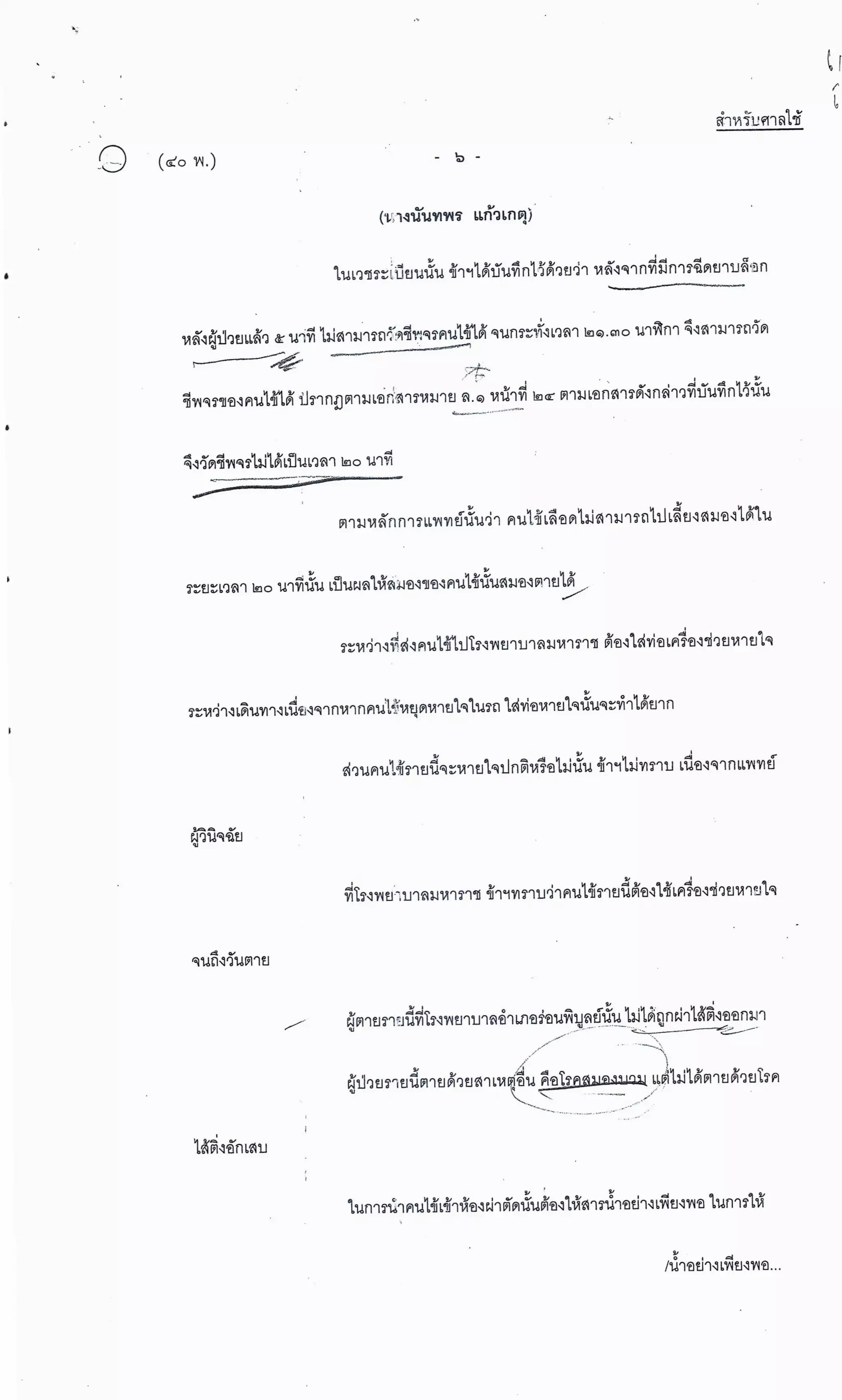 สำนวนคดีผ่าไส้ติ่งร่อนพิบูลย์ (คดีอาญา)