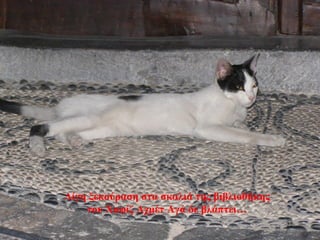 Λίγη ξεκούραση στα σκαλιά της βιβλιοθήκης
του Χαφίζ Αχμέτ Αγά δε βλάπτει…
22
 