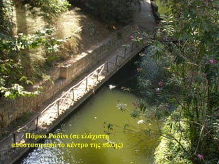 Πάρκο Ροδίνι (σε ελάχιστη
απόσταση από το κέντρο της πόλης)
60
 