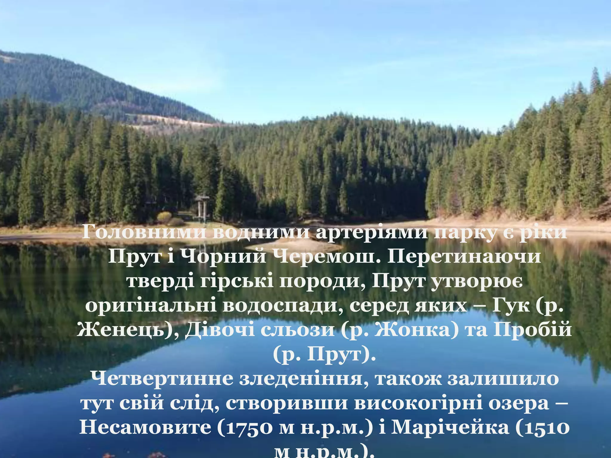 карпатський  парк