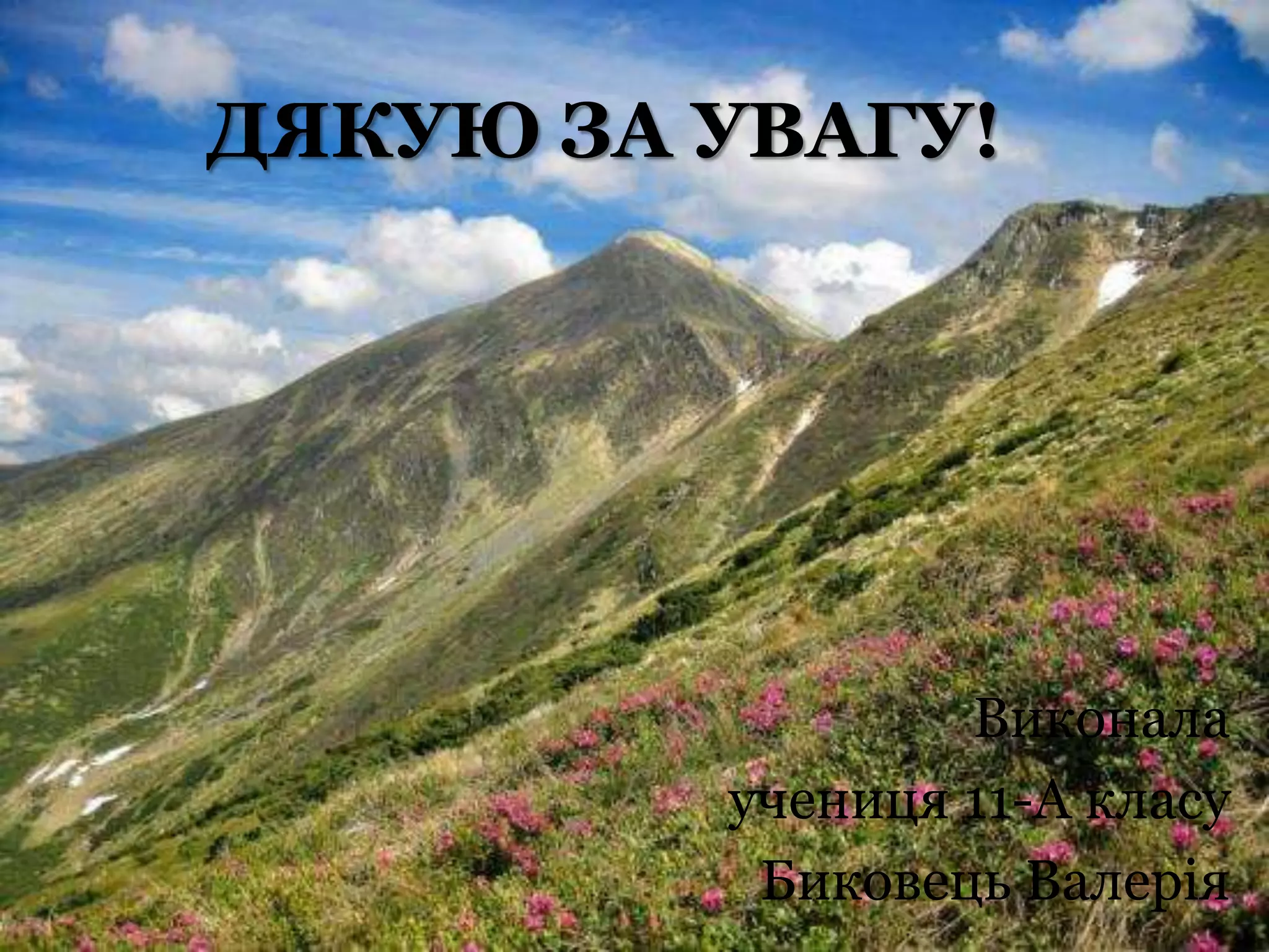 карпатський  парк