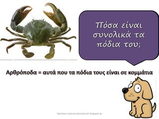 Χατσίκου Ιωάννα taksiasterati.blogspot.gr
 